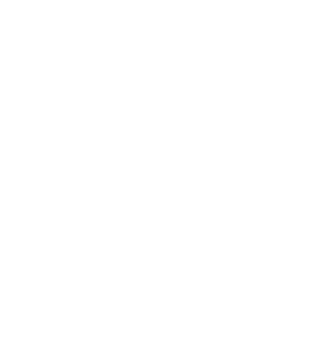init-logo